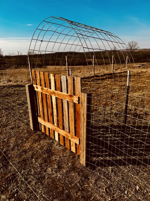 Farm gate and arch structure